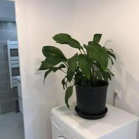 Bed & Breakfast Les Terrasses D'angouleme Angoulême